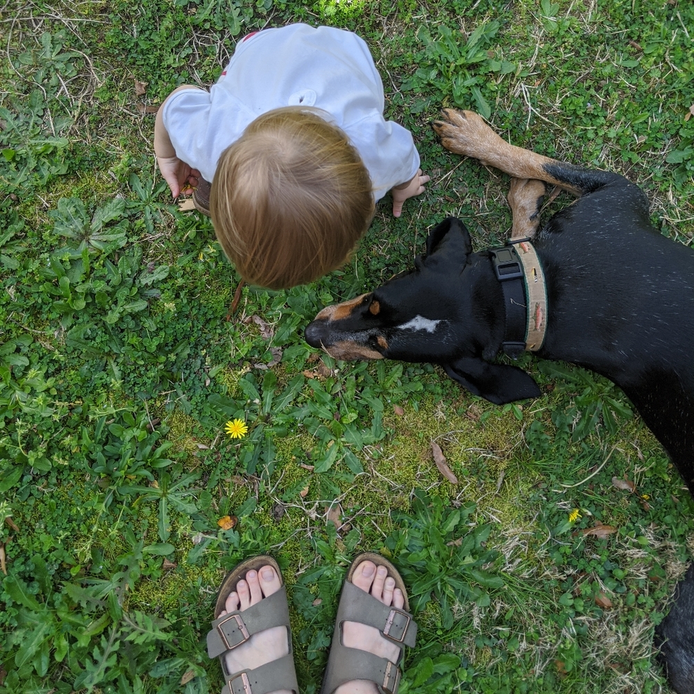 Meet your Posher, Eliza